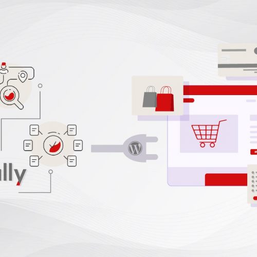 Ally Launches WordPress Plugin for eCommerce Experience!